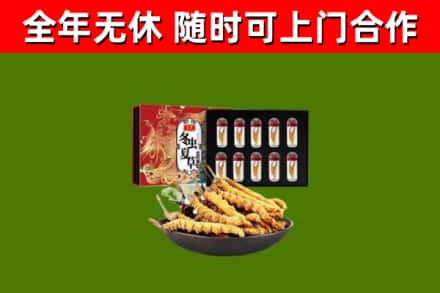 安州区烟酒回收冬虫夏草礼盒.jpg